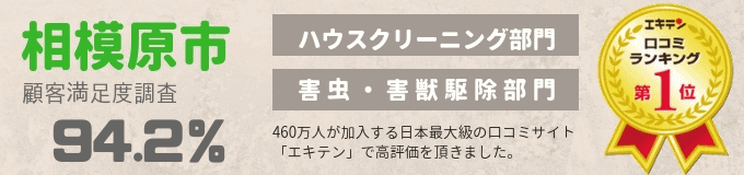�n�E�X�N���[�j���O�Ղ�