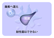 オゾン脱臭