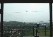 窓ガラスフィルム貼り合せ事例1