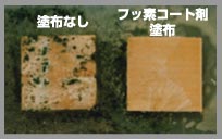 フッ素コート抵抗性試験